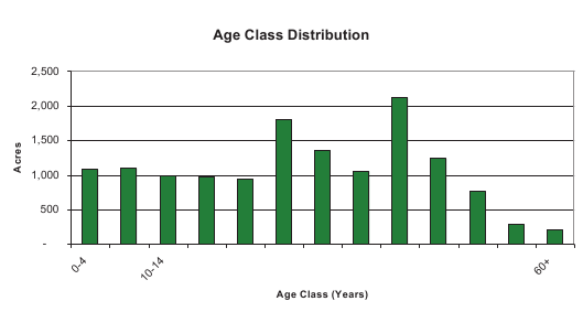 Bar Graph of Tree Farm Data Bar Graph of Tree Farm Data